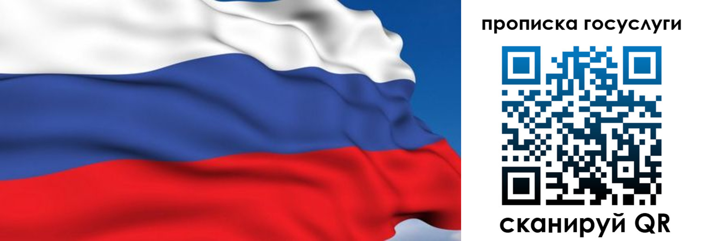 прописка штамп в Вязьме